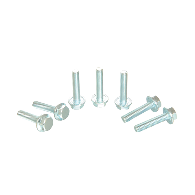 Hexagonal LABIUM cum gasket et dented Cochleas